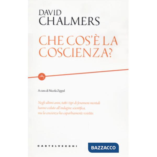 Che cos'è la coscienza?