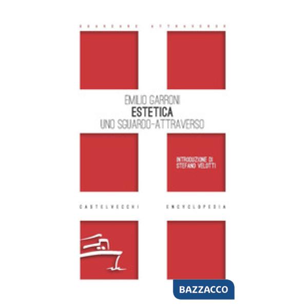 Estetica. Uno sguardo-attraverso