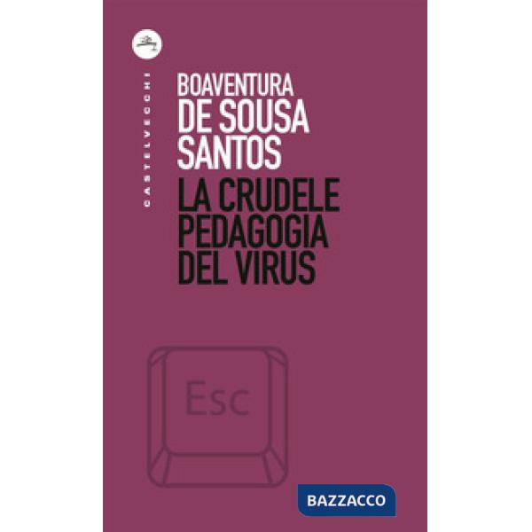 Crudele pedagogia del virus (La)