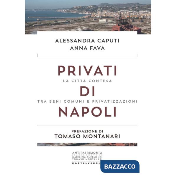 Privati di Napoli. La città contesa tra beni comuni e privatizzazioni