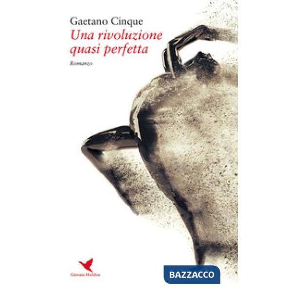 Rivoluzione quasi perfetta (Una)