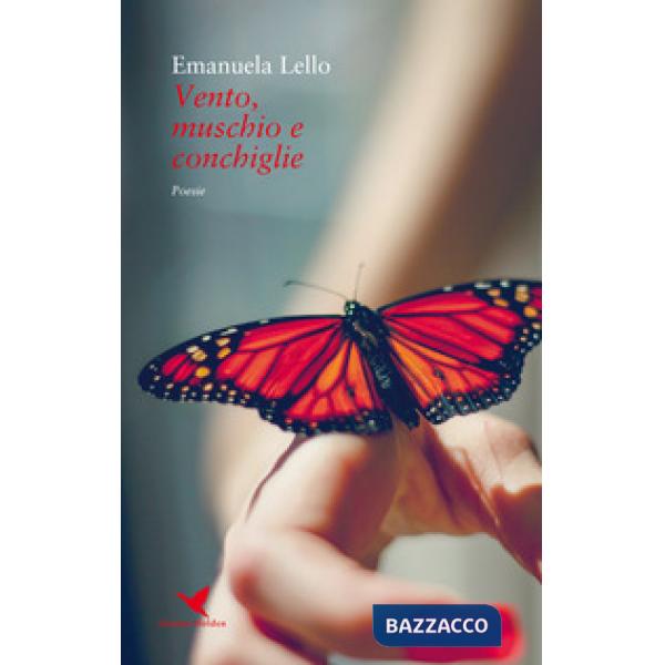 Vento, muschio e conchiglie