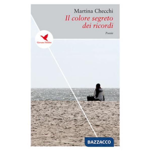 Colore segreto dei ricordi (Il)