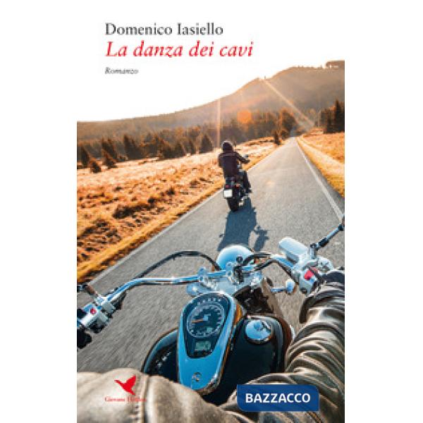 Danza dei cavi. Storia di un viaggio (La)