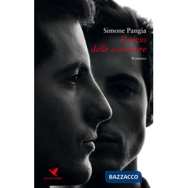 Vizio delle cose pure (Il)