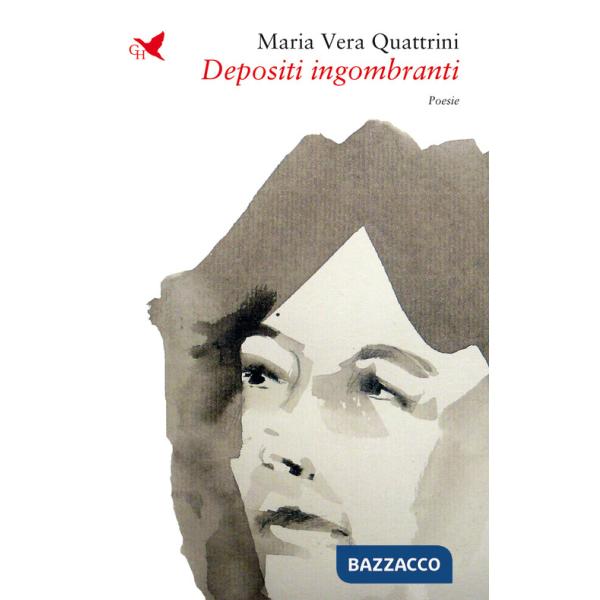 Depositi ingombranti