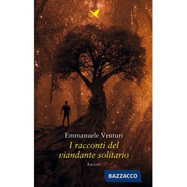 Racconti del viandante solitario (I)