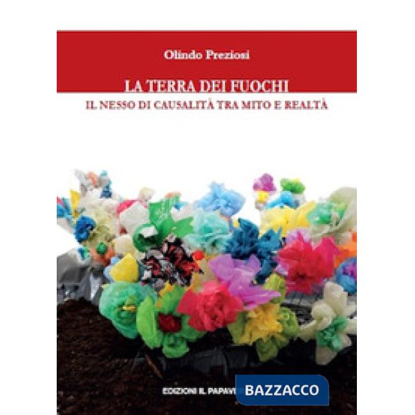 Terra dei fuochi. Il nesso di causalità tra mito e realtà (La)