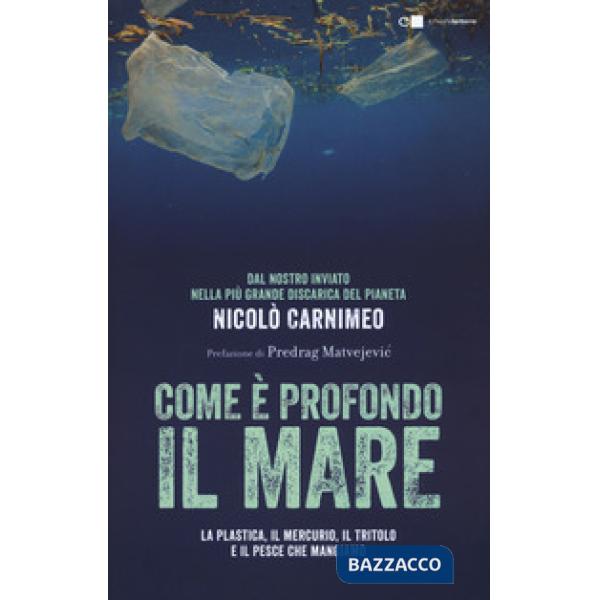 Come è profondo il mare. La plastica, il mercurio, il tritolo e il pesce che mangiamo