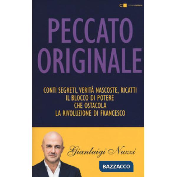 Peccato originale. Conti segreti, verità nascoste, ricatti: il blocco di potere