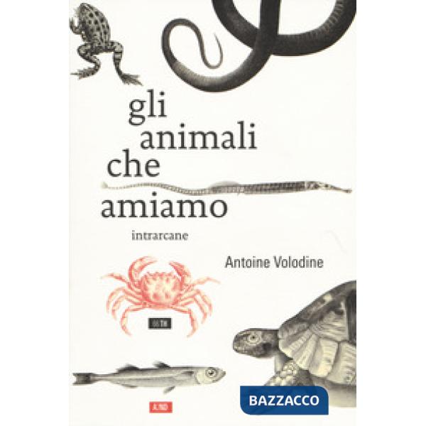 Animali che amiamo (Gli)