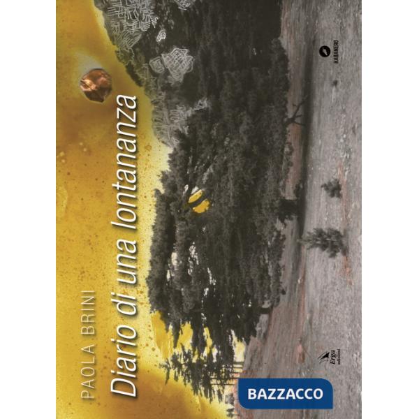 Diario di una lontananza. Ediz. a colori