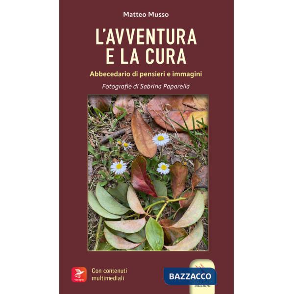 Avventura e la cura (L')