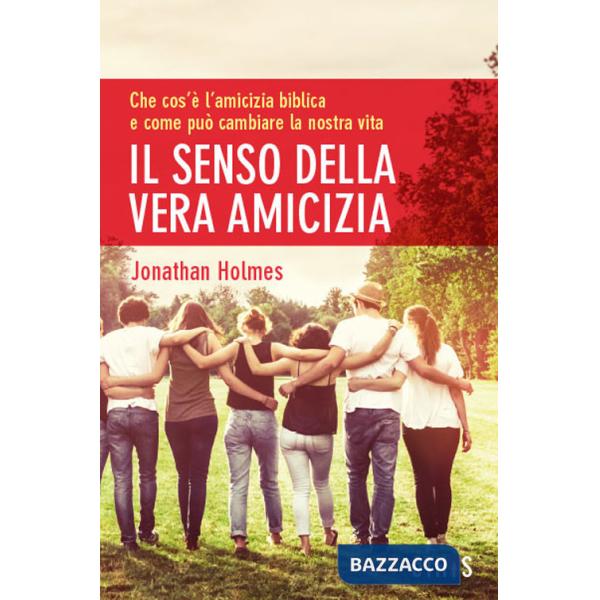 Senso della vera amicizia (Il)