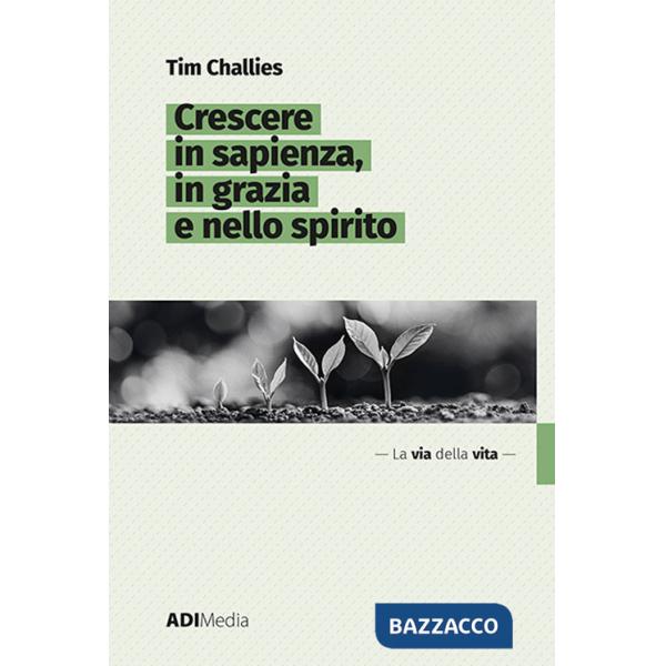 Crescere in sapienza, in grazia e nello spirito