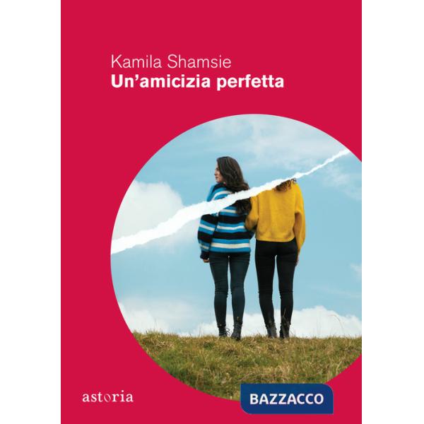 Amicizia perfetta (Un')