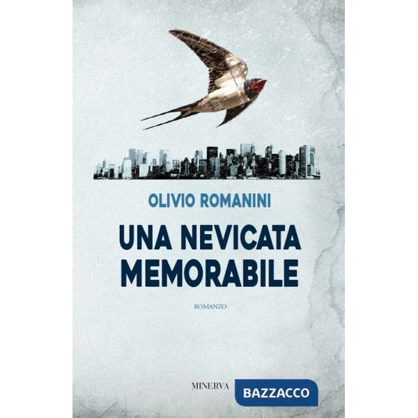 Nevicata memorabile (Una)