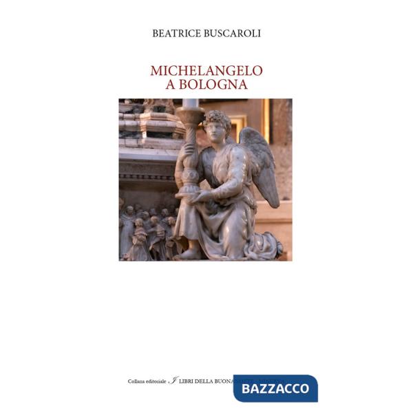Michelangelo a Bologna