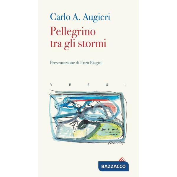 Pellegrino tra gli stormi
