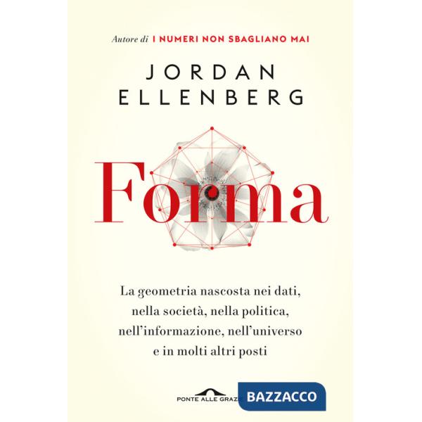 Forma. La geometria nascosta nei dati, nella società, nella politica, nell'informazione, nell'universo e in molti altri posti