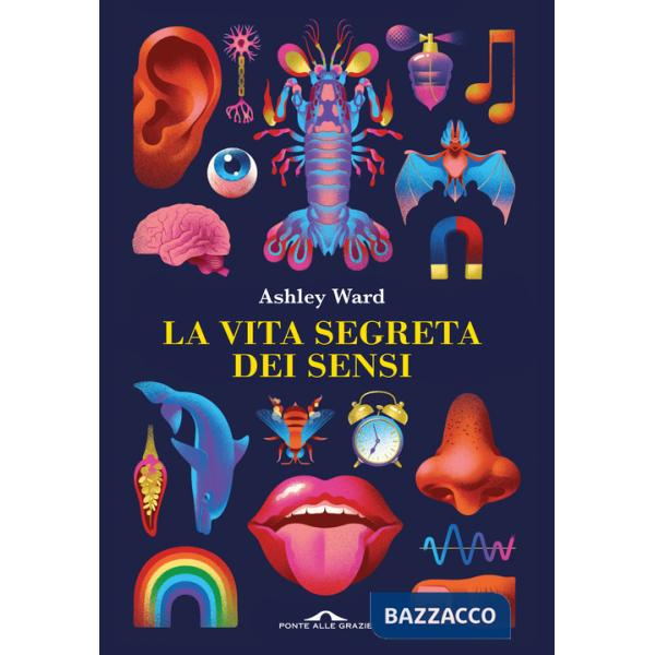 Vita segreta dei sensi (La)