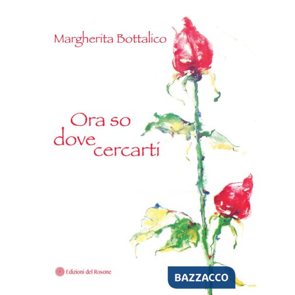 Ora so dove cercarti