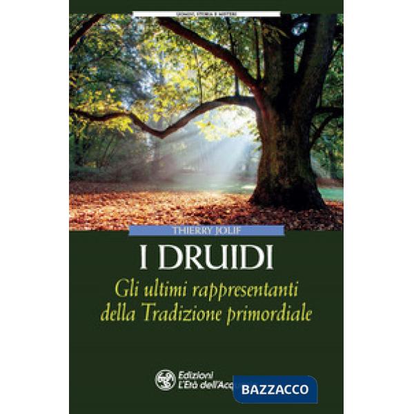 Druidi. Gli ultimi rappresentanti della Tradizione primordiale (I)