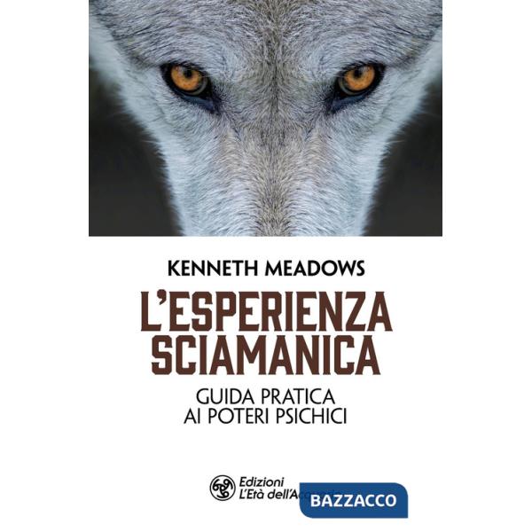 Esperienza sciamanica. Guida pratica ai poteri psichici (L')