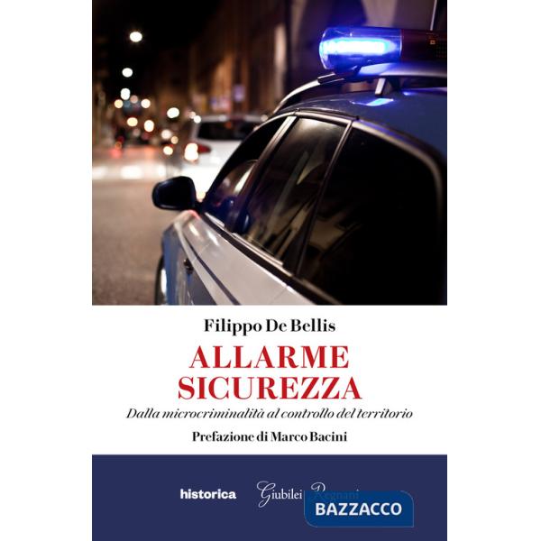Allarme sicurezza. Dalla microcriminalità al controllo del territorio