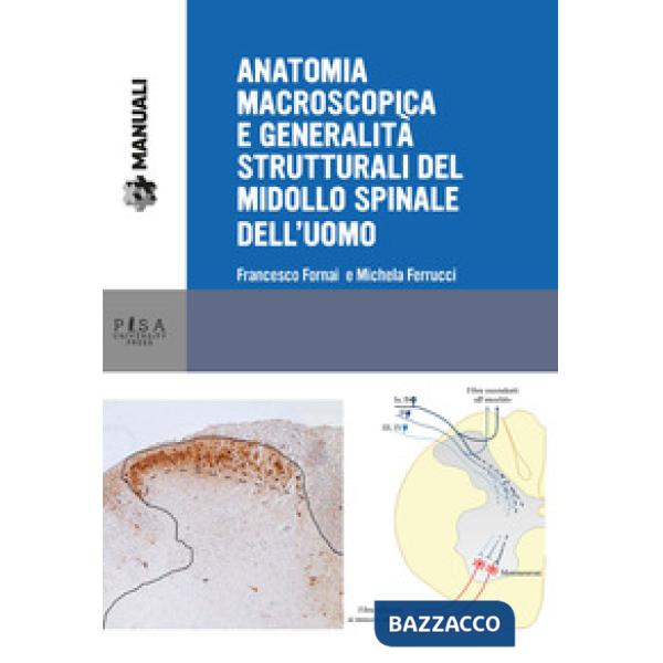Anatomia macroscopica e generalità strutturali del midollo spinale dell'uomo