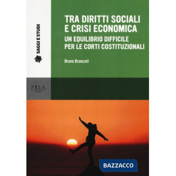 Tra diritti sociali e crisi economica. Un equilibrio difficile per le corti cost