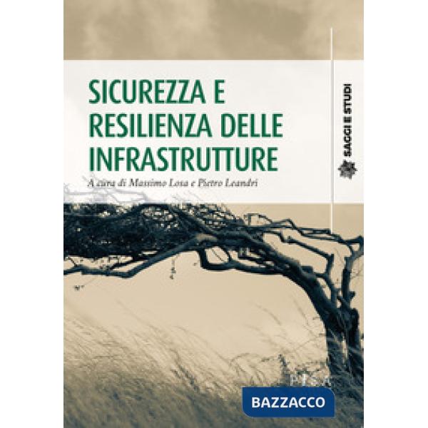 Sicurezza e resilienza delle infrastrutture