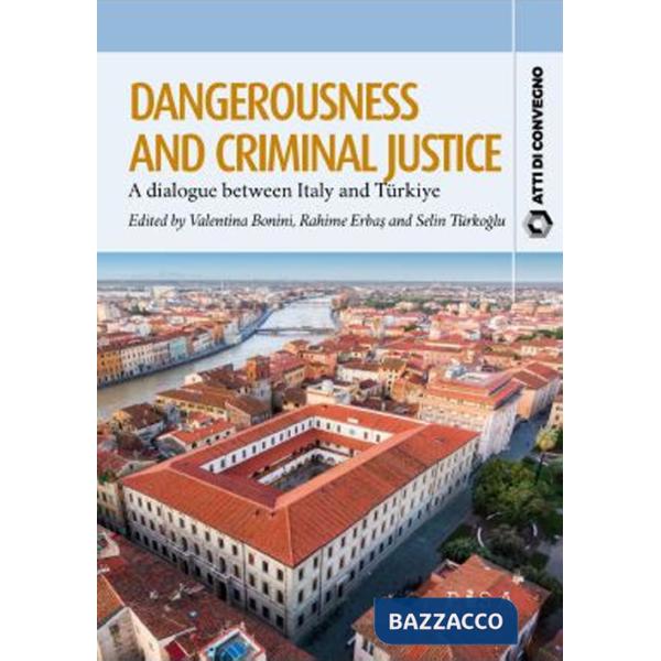 Dangerousness and criminal justice. A dialogue between Italy and Turkiye
