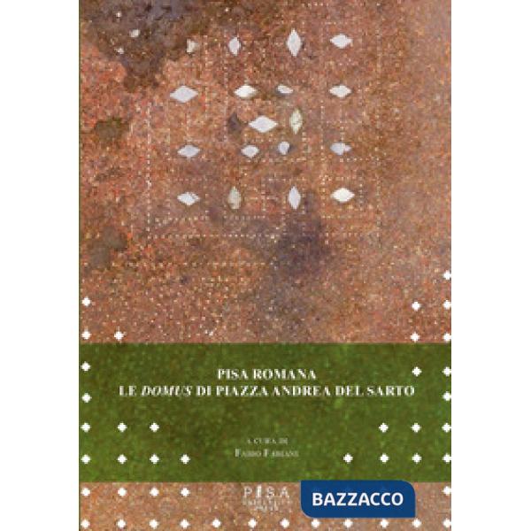 Pisa romana. Le domus di piazza Andrea del Sarto