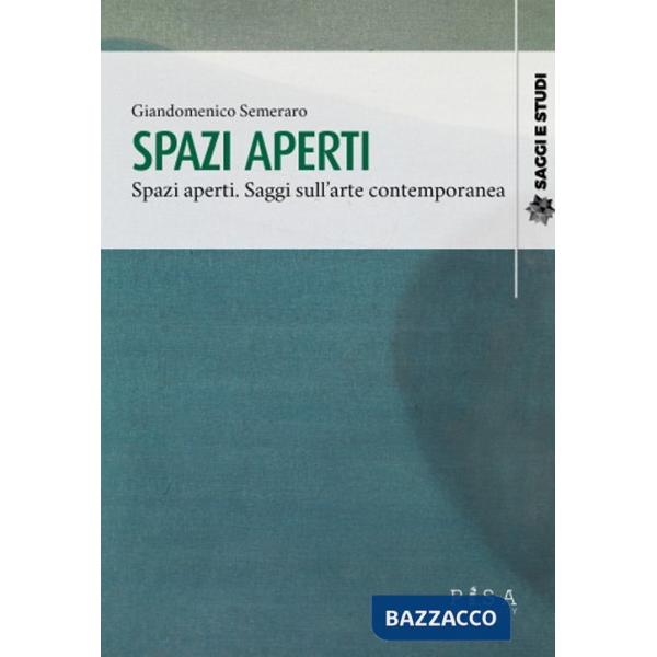 Spazi aperti. Saggi sull'arte contemporanea