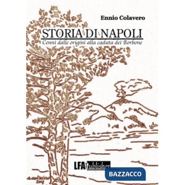 Storia di Napoli. Cenni dalle origini alla caduta dei Borbone