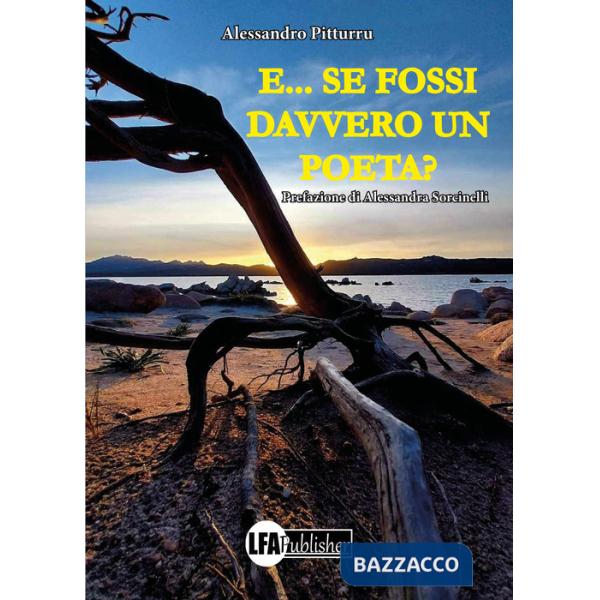 E... se fossi davvero un poeta?
