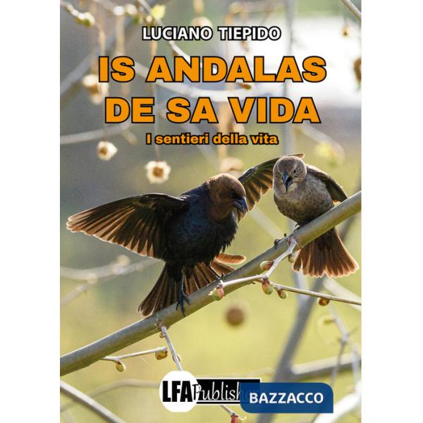 Is andalas de sa vida. I sentieri della vita