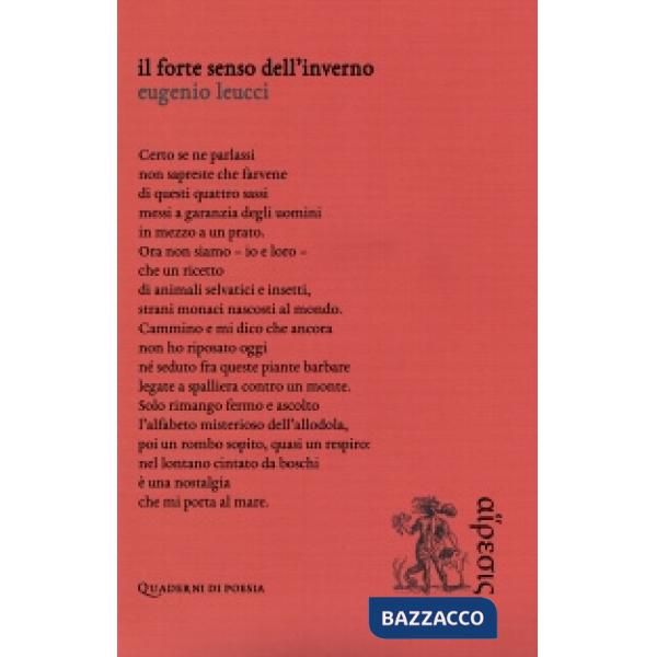 Forte senso dell'inverno (Il)