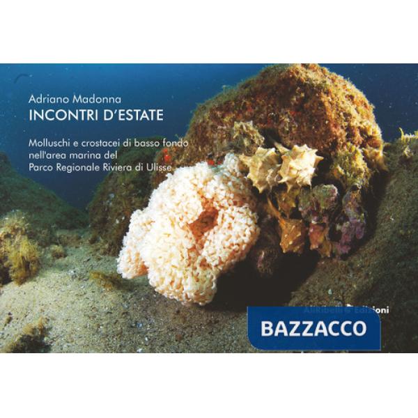 Incontri d'estate: molluschi e crostacei di basso fondo nell'area marina del Parco Riviera di Ulisse