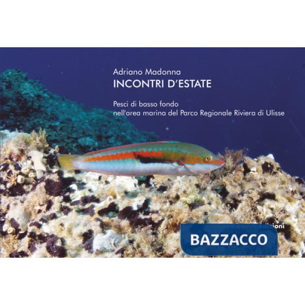 Incontri d'estate: pesci di basso fondo nell'area marina del Parco Regionale Riviera di Ulisse