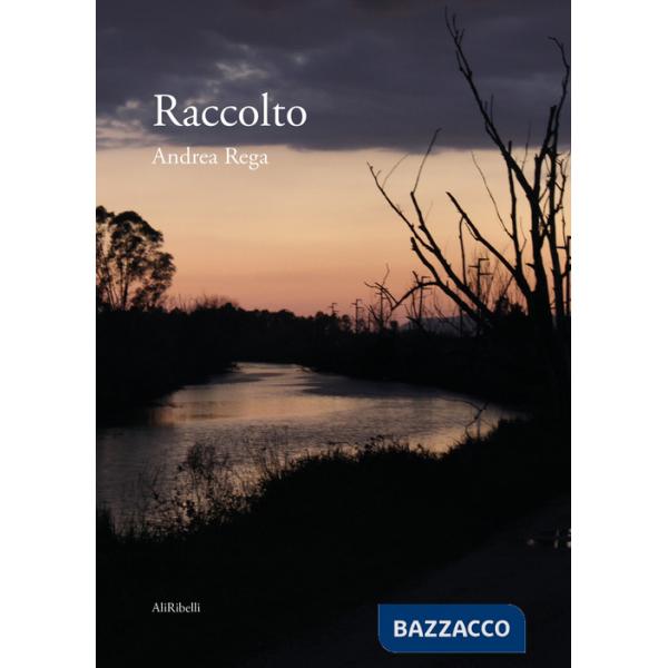 Raccolto