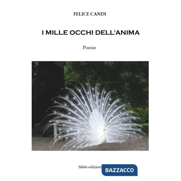 Mille occhi dell'anima (I)