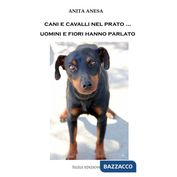 Cani e cavalli nel prato... Uomini e fiori hanno parlato