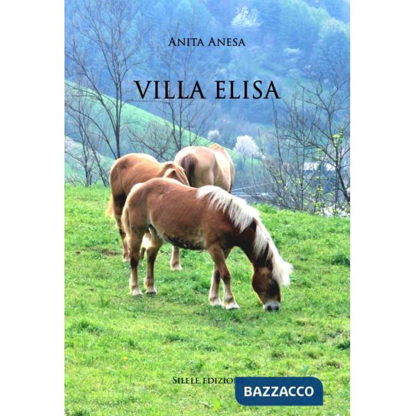 Villa Elisa