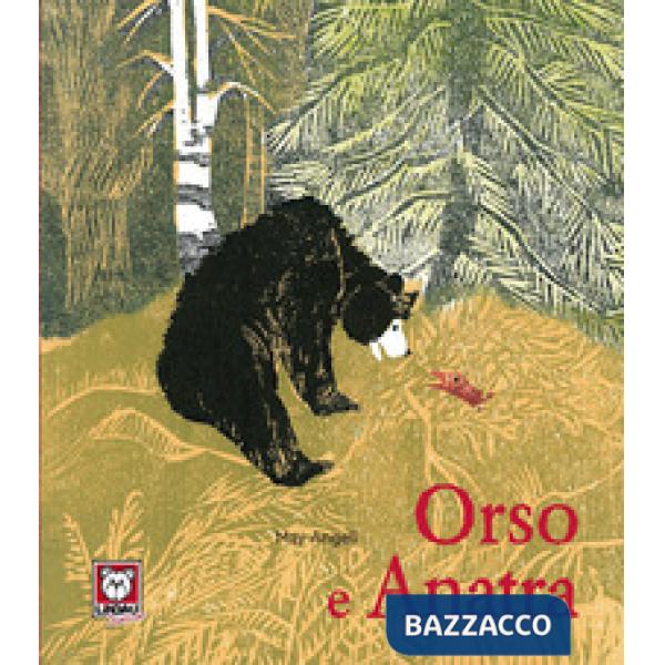 Orso e Anatra. Ediz. a colori