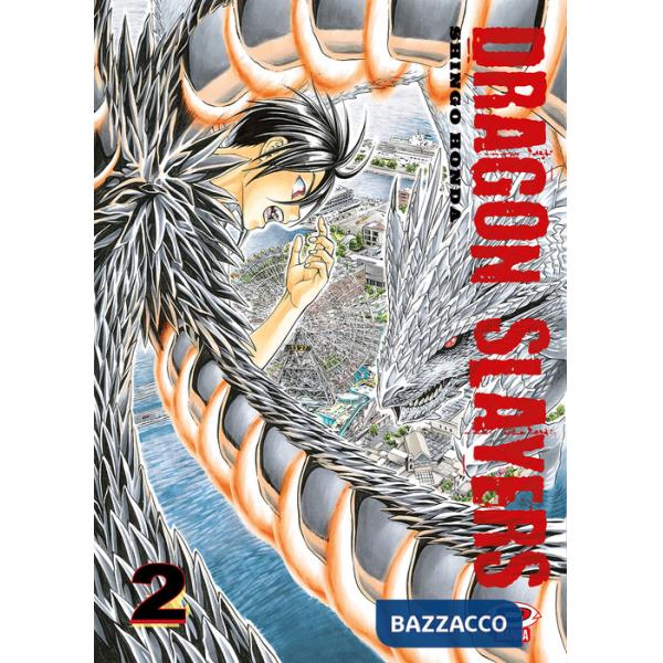 Dragon slayers. Vol. 2