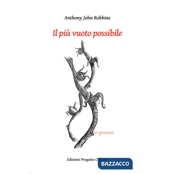 Più vuoto possibile (Il)