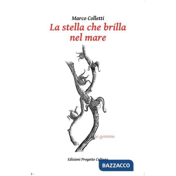 Stella che brilla nel mare (La)