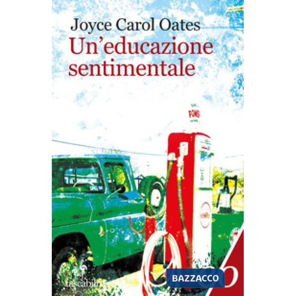 Educazione sentimentale (Un')